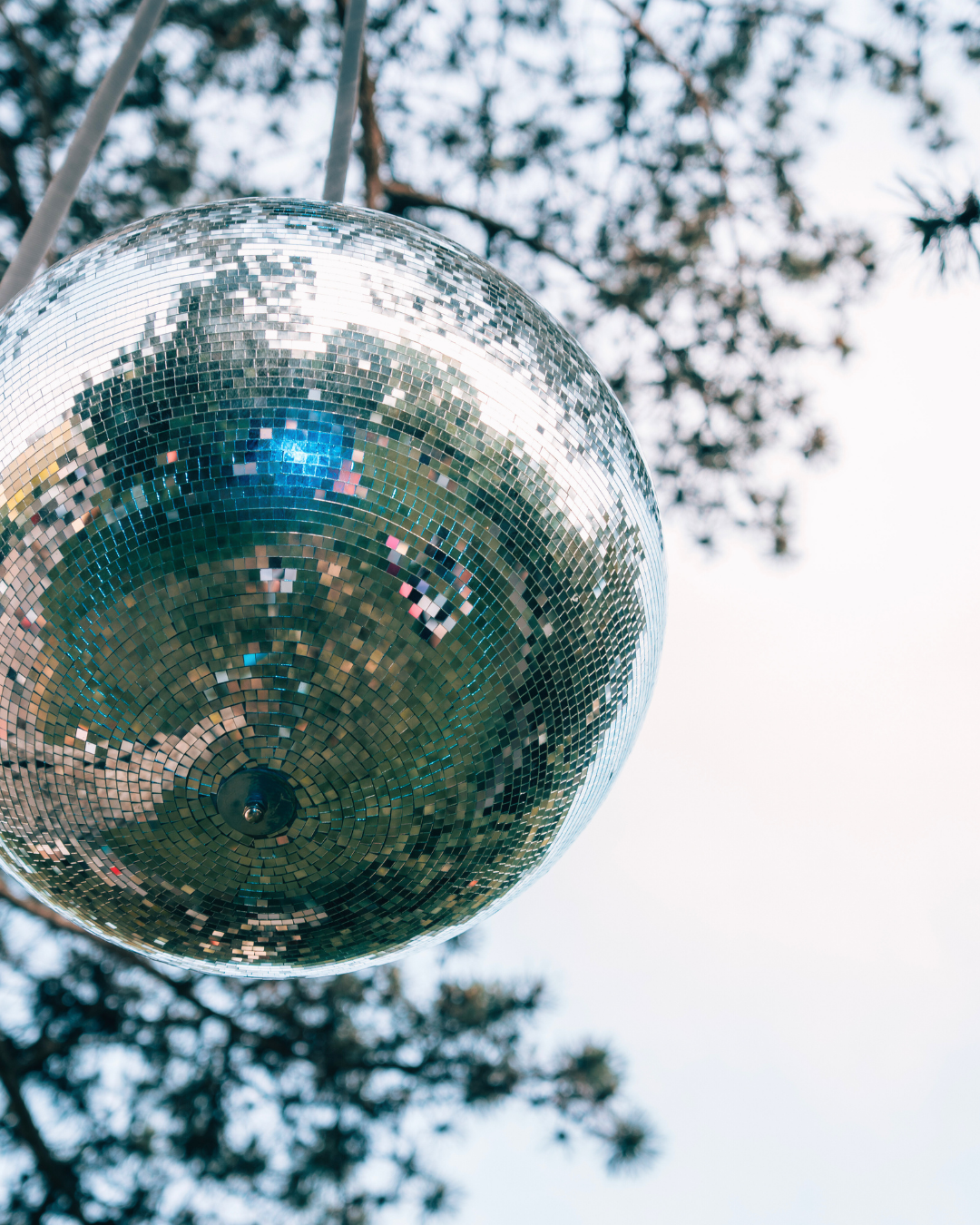 Photo du festival — ambiance